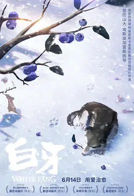 亚洲日本韩国一区