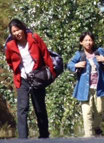 亚洲欧美在线看